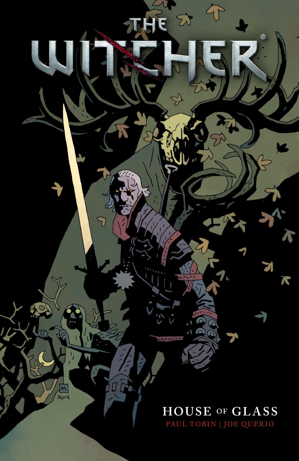 The Witcher Volume 1 House of Glass